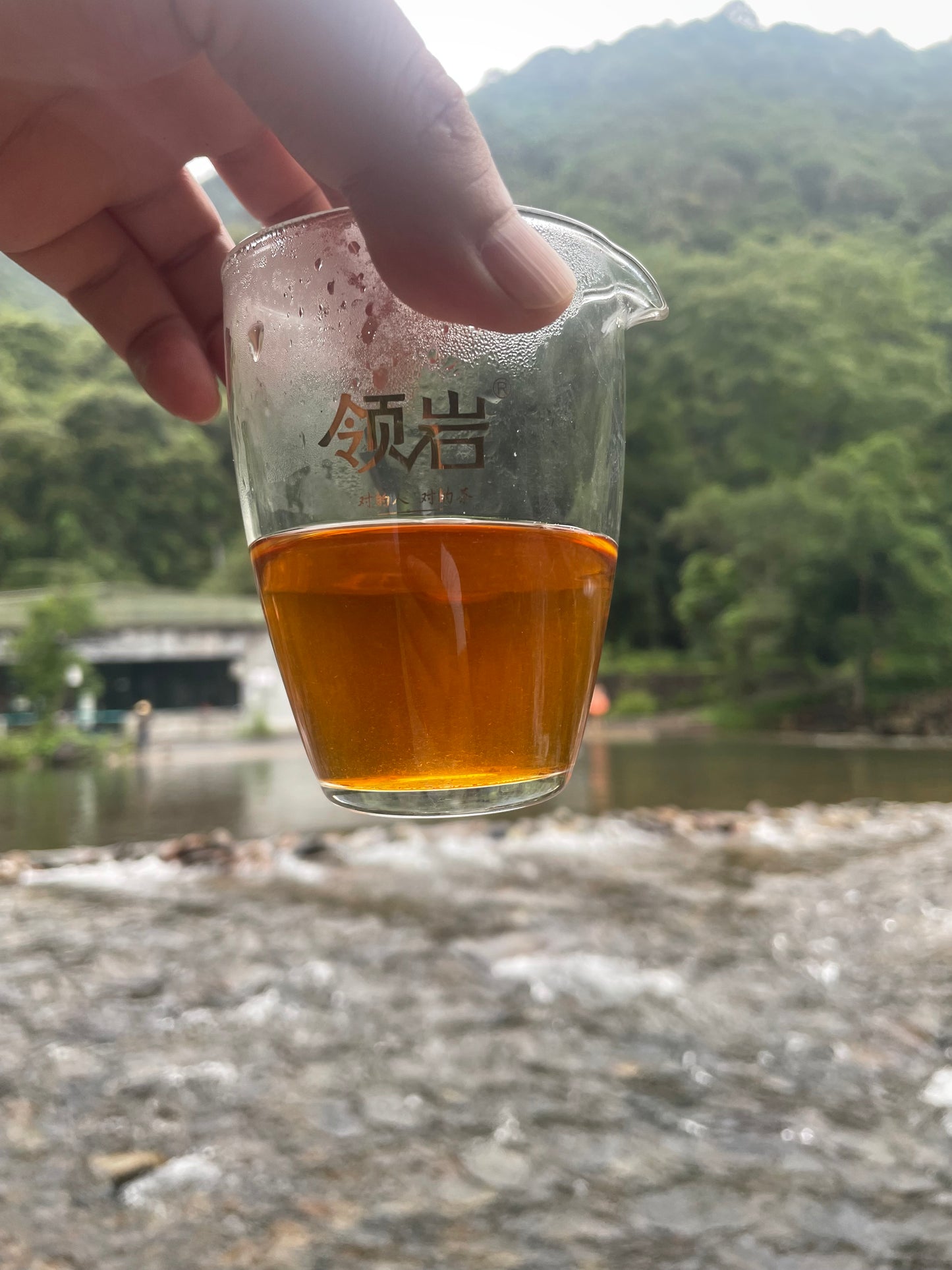Da Hong Pao - Silver Award