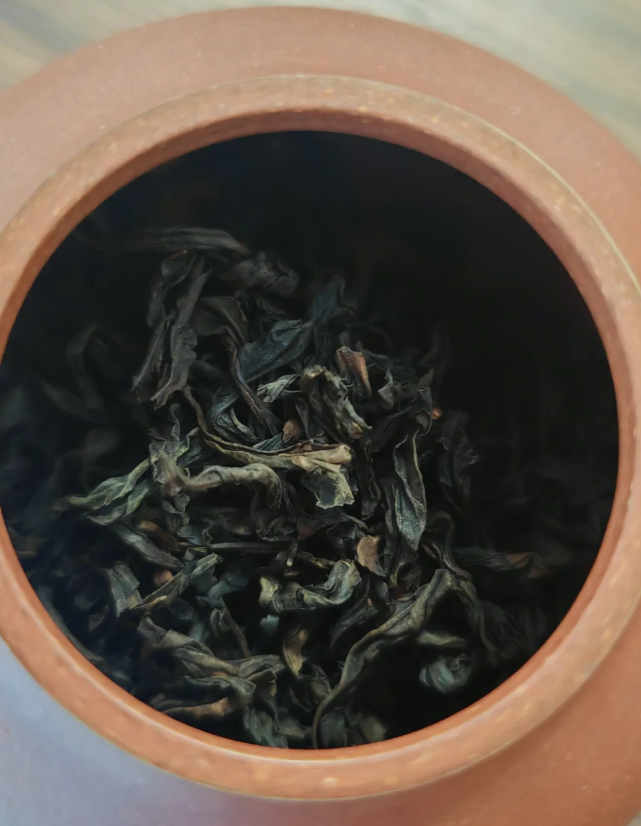 桂仔细枝