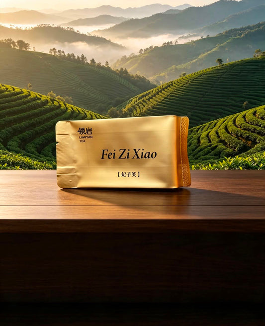 Fei Zi Xiao