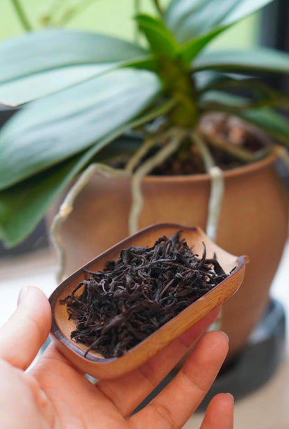 Smoked Lapsang Souchong